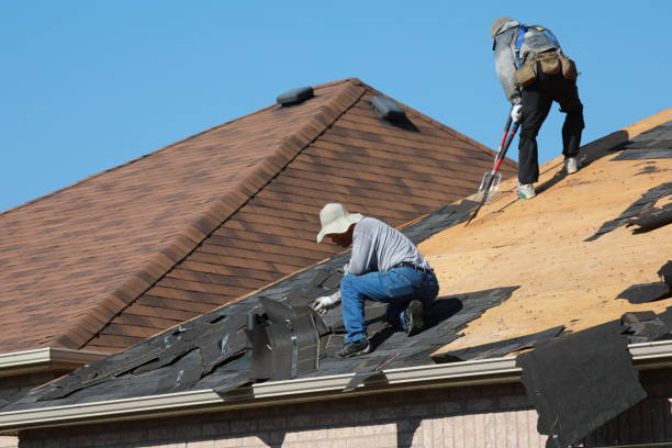 Best Slate Roofing  in , DE