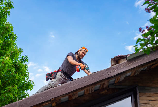Best Skylight Installation and Repair  in , DE