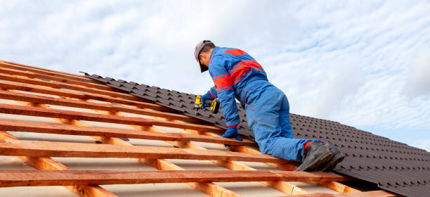 Best Roof Leak Repair  in , DE